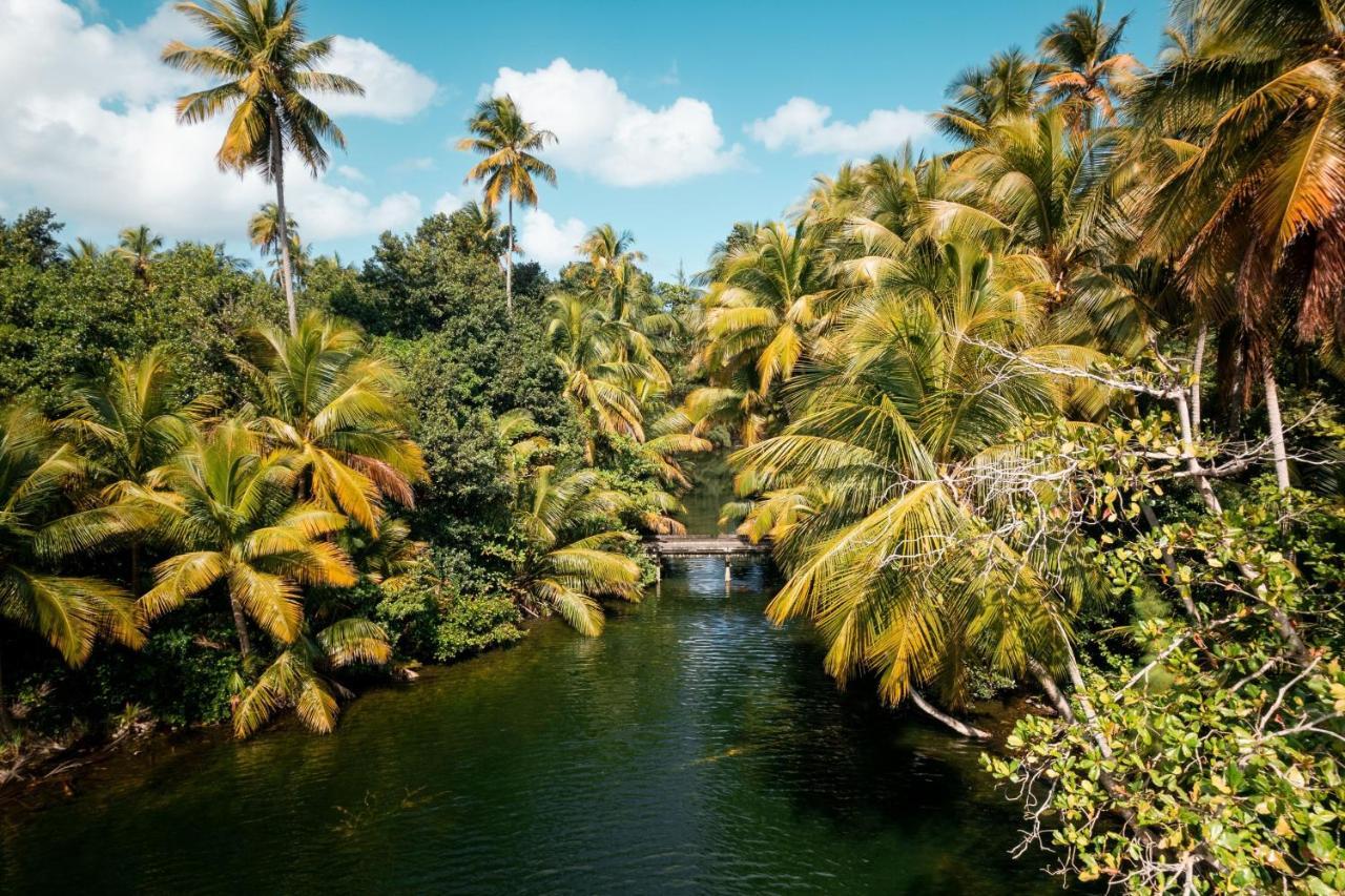 St. Regis Bahia Beach Resort, Puerto Rico Río Grande Extérieur photo